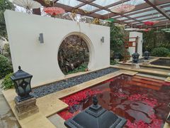 -苏州湾·王焰温泉
