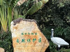 -深圳湾公园(南山区)