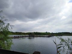 -溱湖国家湿地公园