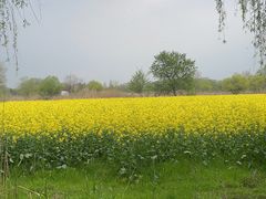 -长兴太湖图影湿地文化园