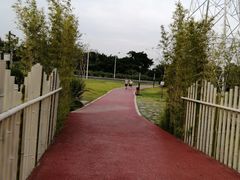 -那考河湿地公园