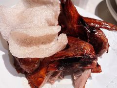 招牌红烧乳鸽-肥仔文澳门猪骨煲(南京西路店)