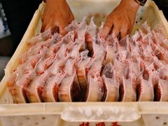 月饼上市-芦庄子桂顺斋(和平路总店)