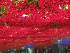 -梵高星空艺术馆(北京旗舰店)
