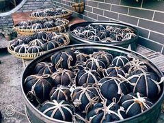 -心无尘茶餐馆(径山村店)