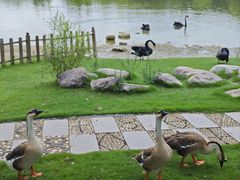 -郑州中国绿化博览园