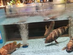 -阿伟海鲜楼·福建菜(延寿店)