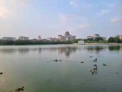 -莲花池公园