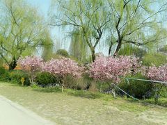 -白马涧龙池景区
