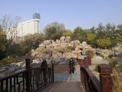 -莲花池公园