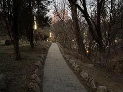 -大连植物园