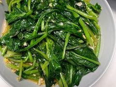 -天鹅到家·保姆月嫂育儿嫂(朝阳店)