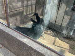 -昆明动物园