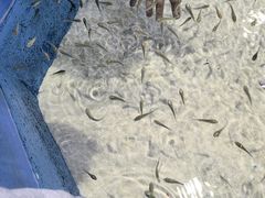 -顺德南宏海立方海洋公园