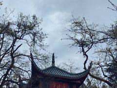 -岳麓山风景名胜区