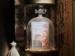 -雪灵魔法世界SHELLY’S TAROT(大良桂畔里店)