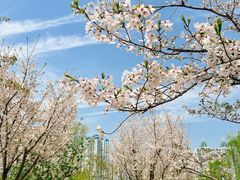 -西北湖绿化广场