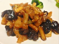 葱烧蹄筋-佳和水饺(海德公馆店)