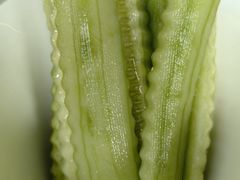 -菉雅苑·湛江菜(前海卓越INTOWN店)