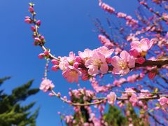 -甘井子公园