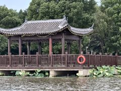 -陶辛水韵