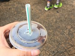 -罗汉果龙眼冰糖燉冬瓜