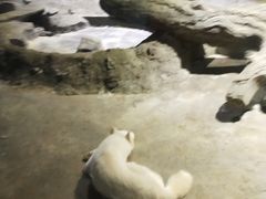 -临沂极地海洋王国