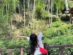 -泽雅七瀑涧景区