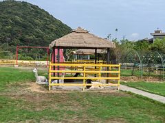 -宁波九龙湖开元度假村