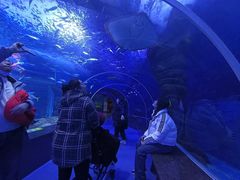 -多彩贵州城极地海洋世界