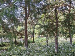 -长辛店二七公园