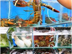 -白沙门生态公园