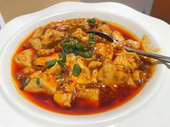 麻婆豆腐-渝信川菜 · 川味家常菜(财富购物中心店)