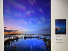 -西武百货(池袋总店)