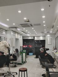 -镁连社·美联社