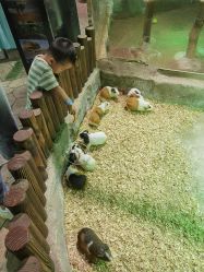 -宝燕乐园(闵行旗舰店)