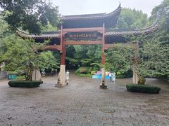 -杭州半山国家森林公园