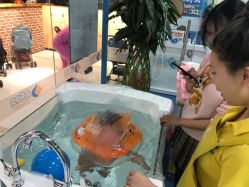 -蓝色海林婴幼儿水育馆(新辰里学清路店)