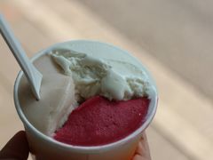 -Dip in Gelato(富民路店)