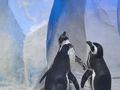 -皇家海洋乐园