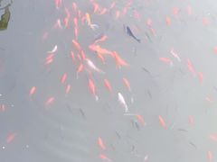 -廊坊文化艺术中心