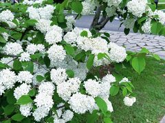 -玄武湖景区-情侣园游乐场