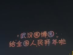 -武汉园博园(武汉自然博物馆)