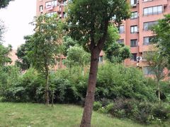 -佘北家园梧桐苑