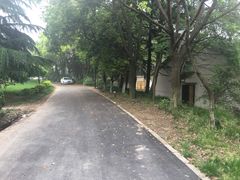 -春兰国宾馆(凤城河风景区老街店)