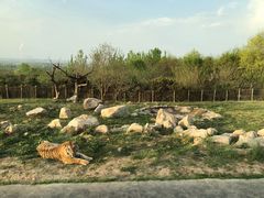 -西安秦岭野生动物园