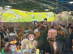 -桃源山庄·水蜜桃采摘·柴火鸡·烧烤团建(龙泉山店)