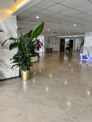 -北京家恩德仁医院-妇产科