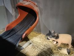 -E+有冰工厂·昆仑寒宫2(五角场店)