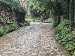 -玉湖村